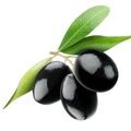 Siyah Zeytin