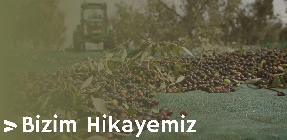 Hakkımızda