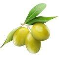Yeşil Zeytin