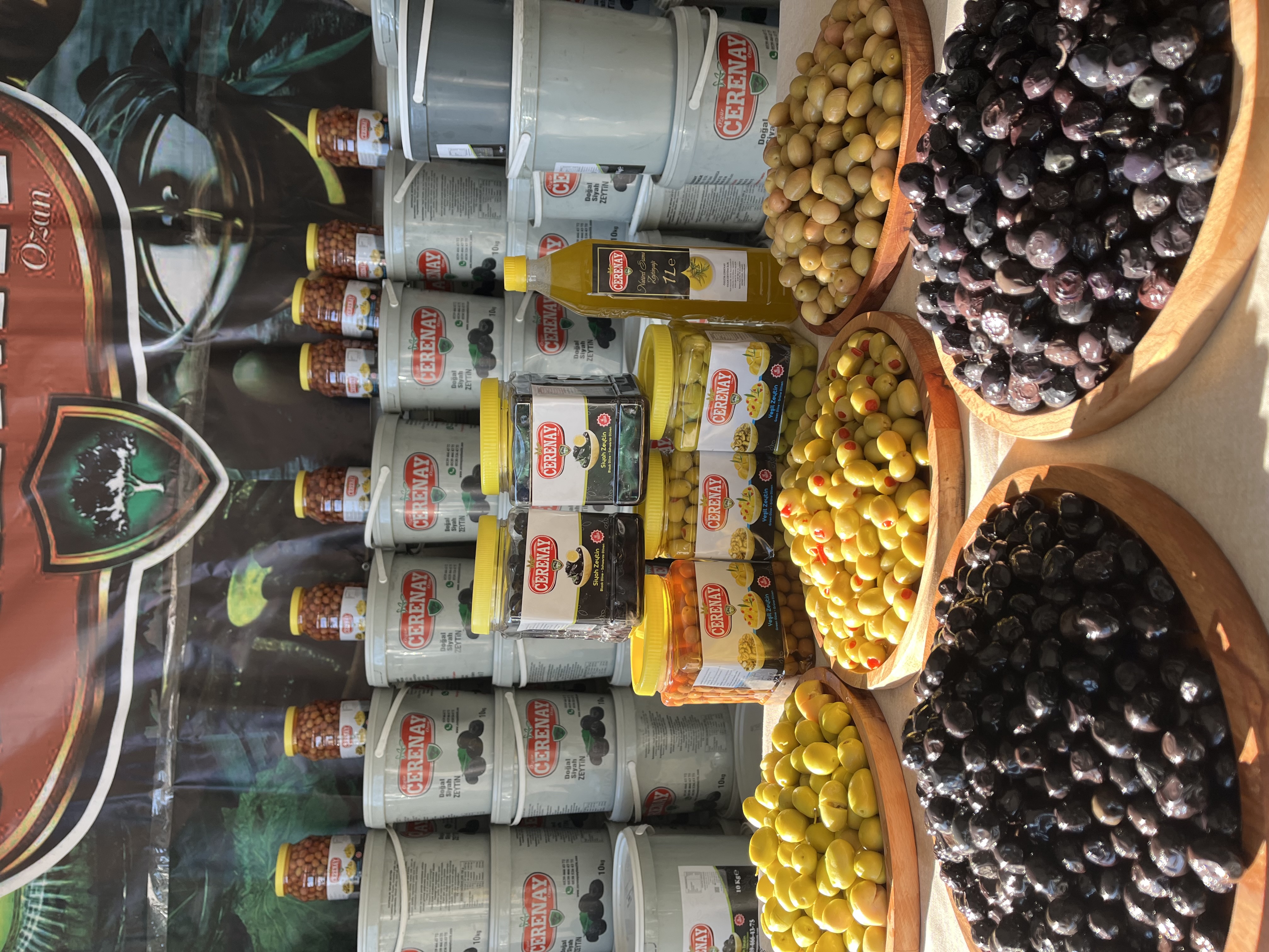 TANIŞMA PAKETİ - 1